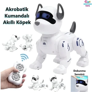Brother Toys Uzaktan Kumandalı Akrobat Köpek Akıllı Interaktif Öğretici Oyuncak Şarjlı Robot