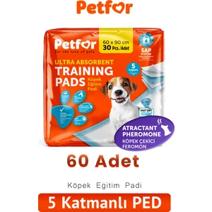 Köpek Eğitim Pedi 60X90 60 Adet