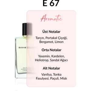 David Walker E67 Tom 50 ml Erkek Parfüm | Aromatic