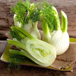 Floransa Kök Rezene Tohumu Fennel