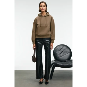 Selene Kadın Kapüşonlu Kangru Cepli Regular Fit Vizon Sweatshirt