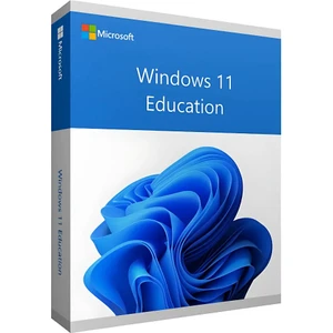Windows 11 Education Lisans Key