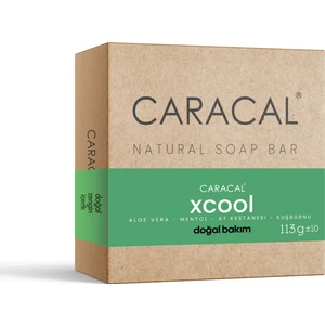 Xcool Çay Ağacı Yağlı Doğal Sabun Arındırıcı Cilt Bakım 100gr