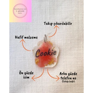 Venüs Takı ve Aksesuar Şeffaf-Renkli Kedi/ Küçük- Orta Irk Köpek- Isimliği/ Künyesi