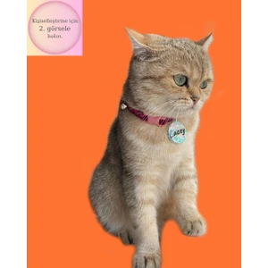 Venüs Takı ve Aksesuar Yuvarlak Şeklinde Zilli Isimli Kedi Küçük Irk Köpek Tasması