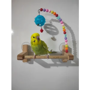 Kuş Vantuzlu Cam Tüneği, Kuş Tüneği Oyuncağı, Kuş Ahşap Tüneği, Kuş Oyuncağı