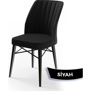 Concept Flex Serisi, Siyah Gürgen Ayaklı Sandalye , Ayaklar Siyah