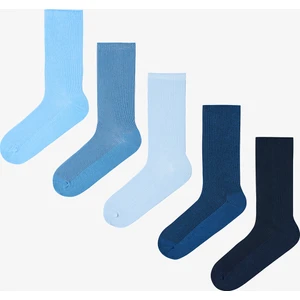 5 Çift Pamuklu Ribli Renkli Soket Çorap