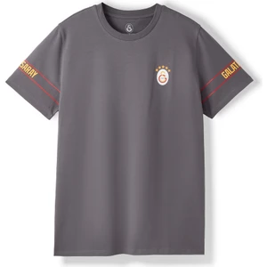 Gs Store Galatasaray Erkek T-Shirt E252096