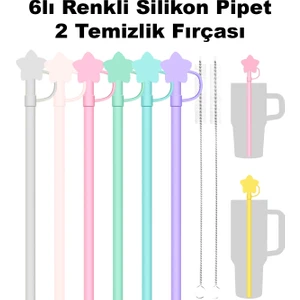 Quencher 1.18 Lt Uyumlu 6lı Silikon Pipet Termos Pipeti– Temizlik Fırçası Hediyeli