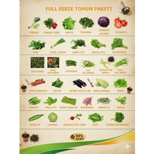 Nfs Agro Sebze Tohum Paketi 33 Çeşit
