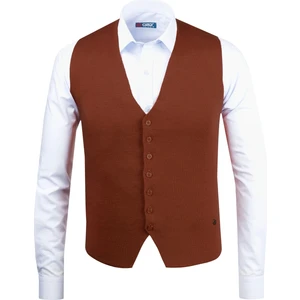 Çizgi Triko Erkek Düğmeli Spor / Regular Triko Örme Kolsuz Yelek - 4241LS