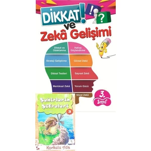 3. Sınıf Dikkat Ve Zeka Gelişimi