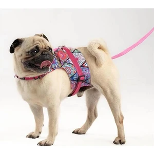 Kaçış Önleyici Ayarlanabilir Küçük Irk ve Büyük Irk Köpek Göğüs Tasma Seti ve Gezdirme