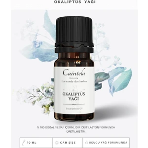 Okaliptüs Yağı 10 ml (Eucalyptus globulus)