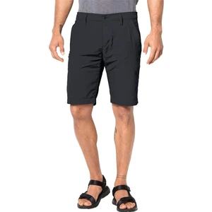 Jack Wolfskin Desert Valley Shorts Men Erkek Gri Şort