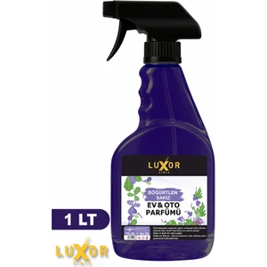 Luxor Kimya Böğürtlen Sakız 1 Lt Oto Kokusu