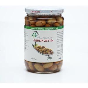 Defne Kadın Kooperatifi Doğal Gemlik Zeytin 400 gr