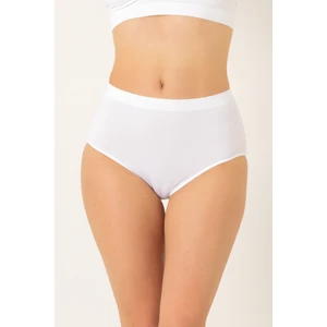 Yüksek Bel Dikişsiz Kadın Külot