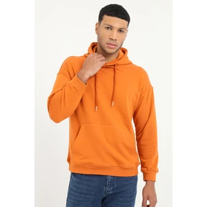 Kiremit Regular Fit Kapüşonlu Erkek Sweatshirt