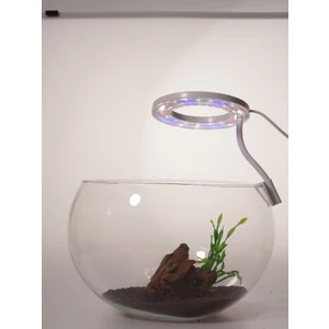 Marimo Scape Akvaryum Fanus Aydınlatması