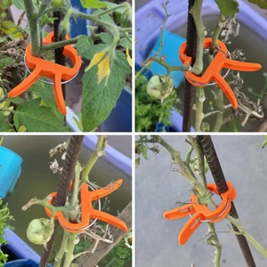 Dme Flora Bitki Bağlama Destek Mandalı 10 Adet Orta Boy
