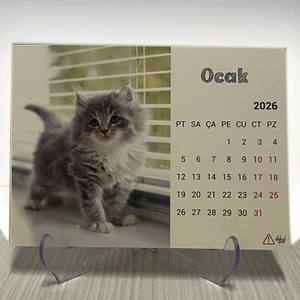 Dikkat Ajans 2026 Kedi Masa Takvimi