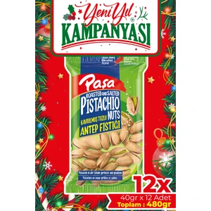Paşa Kuruyemiş Kavrulmuş Antep Fıstığı 40 gr x 12 Adet (480 gr)