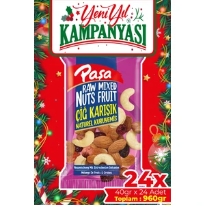 Paşa Kuruyemiş Çiğ Karışık Naturel Kuruyemiş 40 gr x 24 Adet (Toplam 960 Gr)