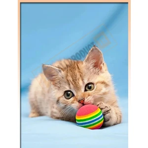 Allproduct TR Allproduct Renkli 3’lü Sünger Kedi Köpek Oyuncak Topu Seti – Yumuşak Çiğneme Oyuncağı – Interaktif Evcil Hayvan Oyun Topları – Kedi Köpek Eğlence & Egzersiz Oyuncağı – Dayanıklı