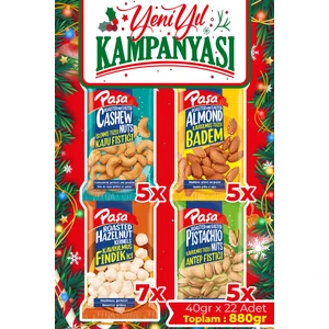 Paşa Kuruyemiş Karışık Kuruyemiş 40 gr x 22 Adet (880 gr)