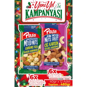 Paşa Kuruyemiş Karışık Süper Mix Kuruyemiş 40 gr x 12 Adet (Toplam 480 gr)