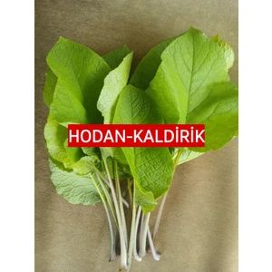 500 Gr. Hodan-Kaldirik-Ispıt Otu