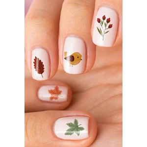 Kuşlar -1 Tırnak Dövmesi, Tırnak Tattoo, Nail Art, Tırnak Sticker