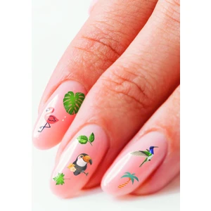 Tropik-1 Tırnak Dövmesi, Tırnak Tattoo, Nail Art, Tırnak Sticker