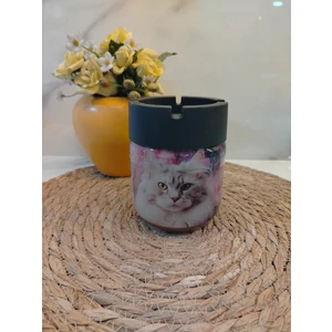 Cam Kavanoz Küllük Kedi