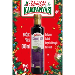 Paşa Kuruyemiş Karadut Özü 680 gr