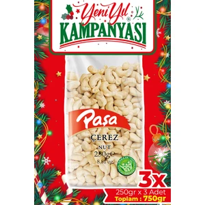 Paşa Kuruyemiş Çiğ Kaju 750 gr (250 gr x 3 Adet) - Tuzsuz Naturel Kaju Fıstığı