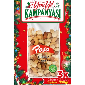 Paşa Kuruyemiş Kavrulmuş Karışık Kuruyemiş 250 gr x 3 Adet (Toplam 750 Gr)