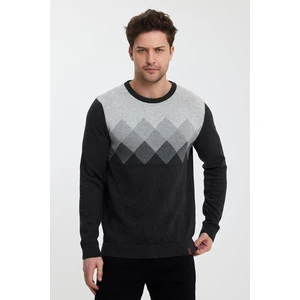 Alexander Gardi Alexandergardı Desenli Bisiklet Yaka KAZAK(E23-6715)