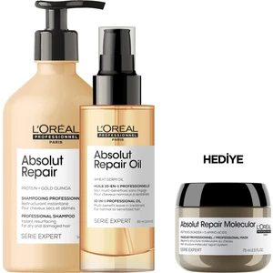 Serie Expert Absolut Repair Yıpranmış Saçlar İçin Onarıcı Bakım Seti