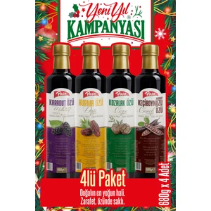 Paşa Kuruyemiş Paşa Lezzet Özleri 4’lü Karışım - Karadut Özü, Hurma Özü, Keçiboynuzu Özü, Kozalak Özü