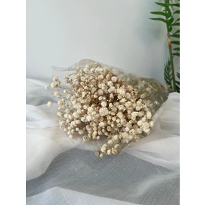 Krem Şoklanmış Cipso 40GRAM