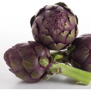 Mor Enginar Tohumu Artichoke Purple Romagna