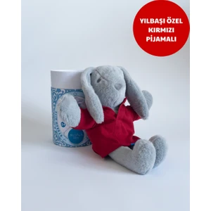 Mona Pışpışlayan Uyku Arkadaşı (Kalın Karton Kutu)