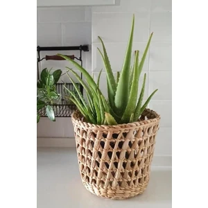 Ss Eral Koop Hasır Saksı Çapraz Modeli