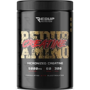 Redup Nutrition Creatinemonohidrate 400GR