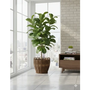 Raddan Core Premium 30CM Saksı Kılıfı