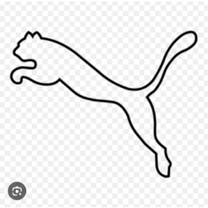 Topuz Motor Cg Stcker Puma  2li yapıştırma beyaz