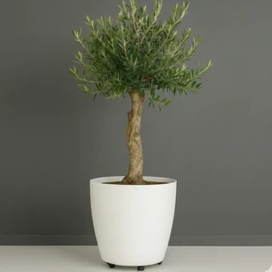 Melkan Home Beyaz Tekerlekli Saksı 48 Litre Büyük Saksı Geniş Hacimli Tekerlekli Saksı Beyaz 45x40 cm